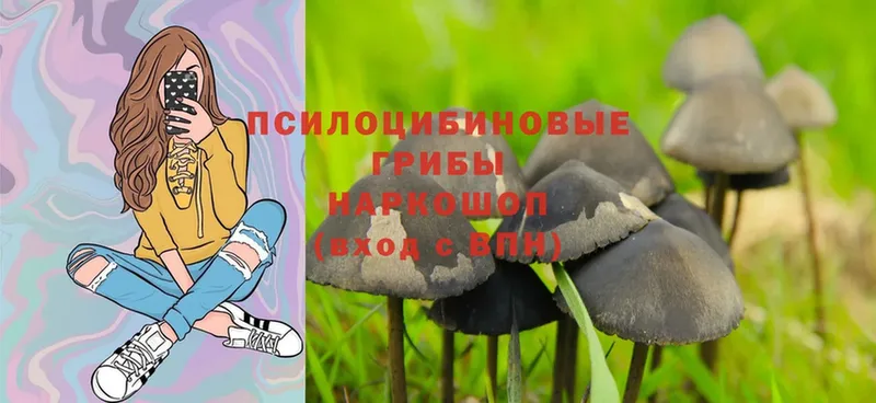 Псилоцибиновые грибы MAGIC MUSHROOMS  Муравленко 